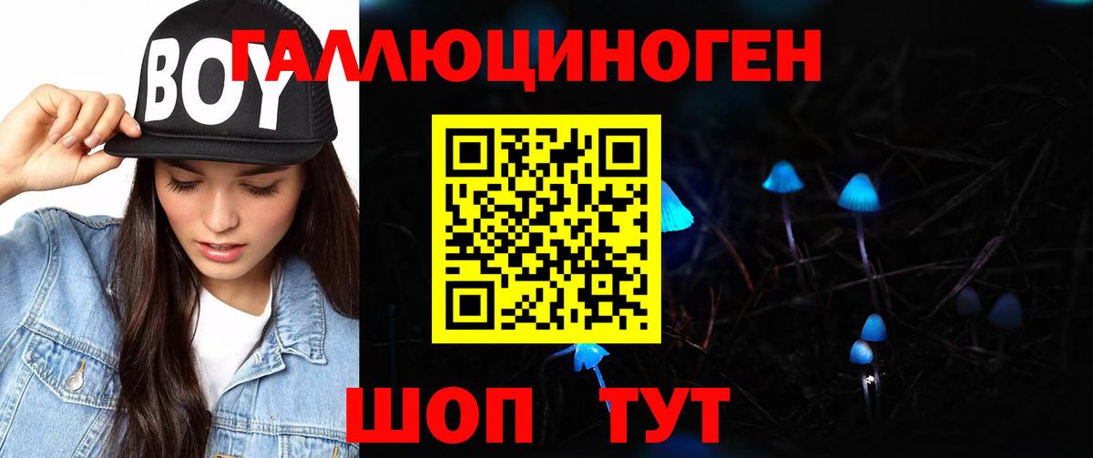 Галлюциногенные грибы прущие грибы  Псилоцибиновые грибы Psilocybe  Вход с VPN  Урус-Мартан 